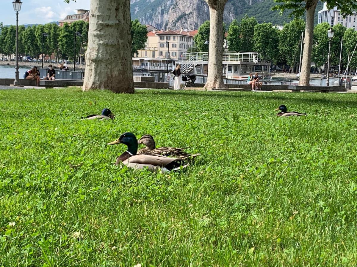 Casa Mauri Daire Lecco Dış mekan fotoğraf